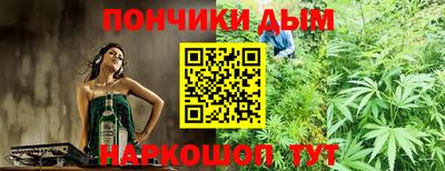 индика Бийск