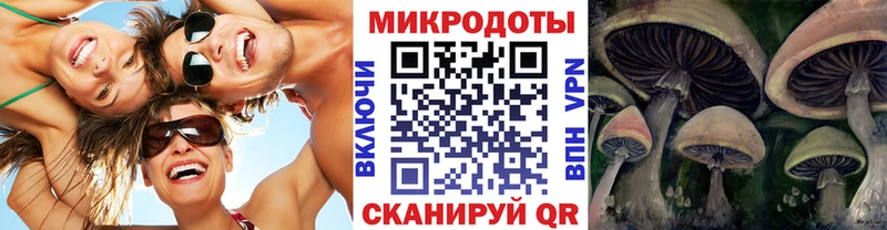 мега маркетплейс  Кыштым  Псилоцибиновые грибы GOLDEN TEACHER 