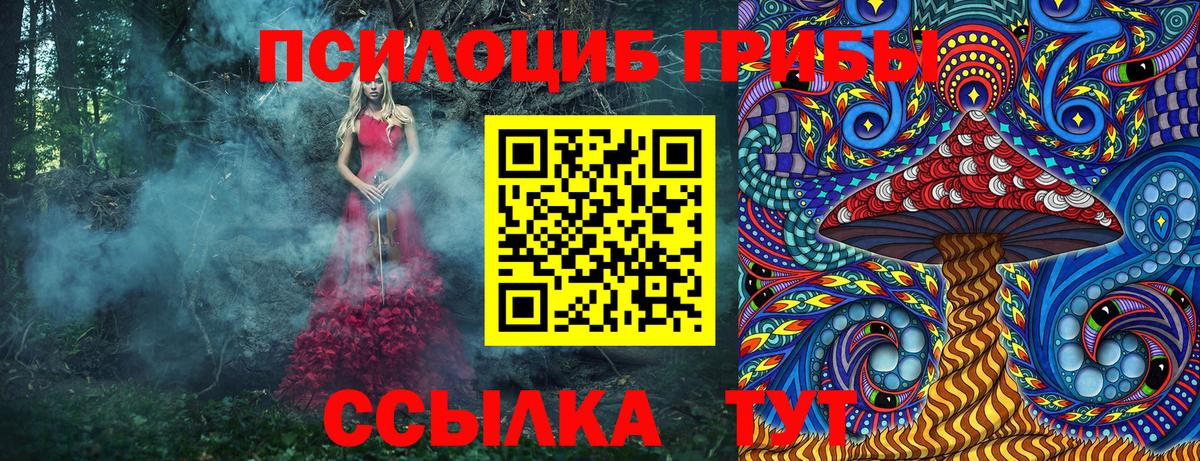 Галлюциногенные грибы Psilocybe  Вход с VPN  Кыштым  Псилоцибиновые грибы прущие грибы 