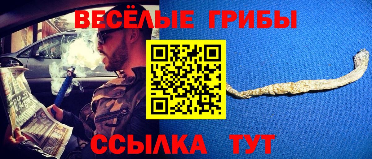 Галлюциногенные грибы Psilocybine cubensis Кыштым