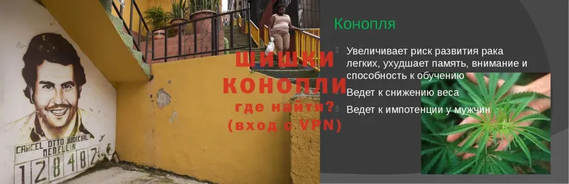 где можно купить   Кыштым  Бошки Шишки планчик 